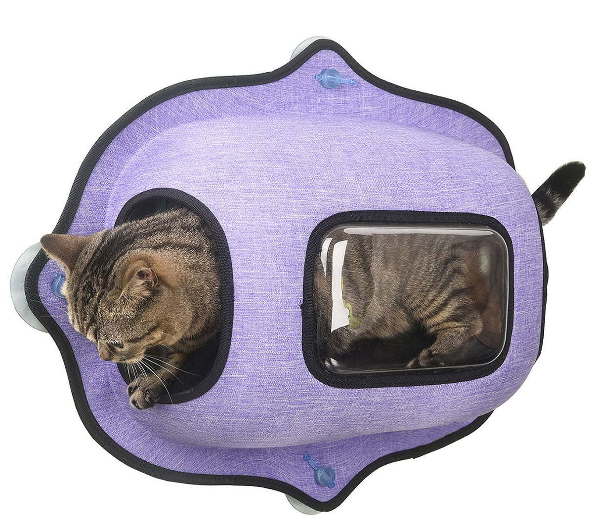 Pet Life ® 'Purr-view' See-through Suction Cup Kitty Cat Lounger and Bed - BIG FRENCHIES