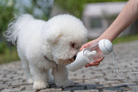 Pet Life ® 'PYURE' Handheld Travel Filtered Water Feeder - BIG FRENCHIES