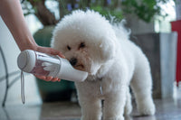 Pet Life ® 'PYURE' Handheld Travel Filtered Water Feeder - BIG FRENCHIES