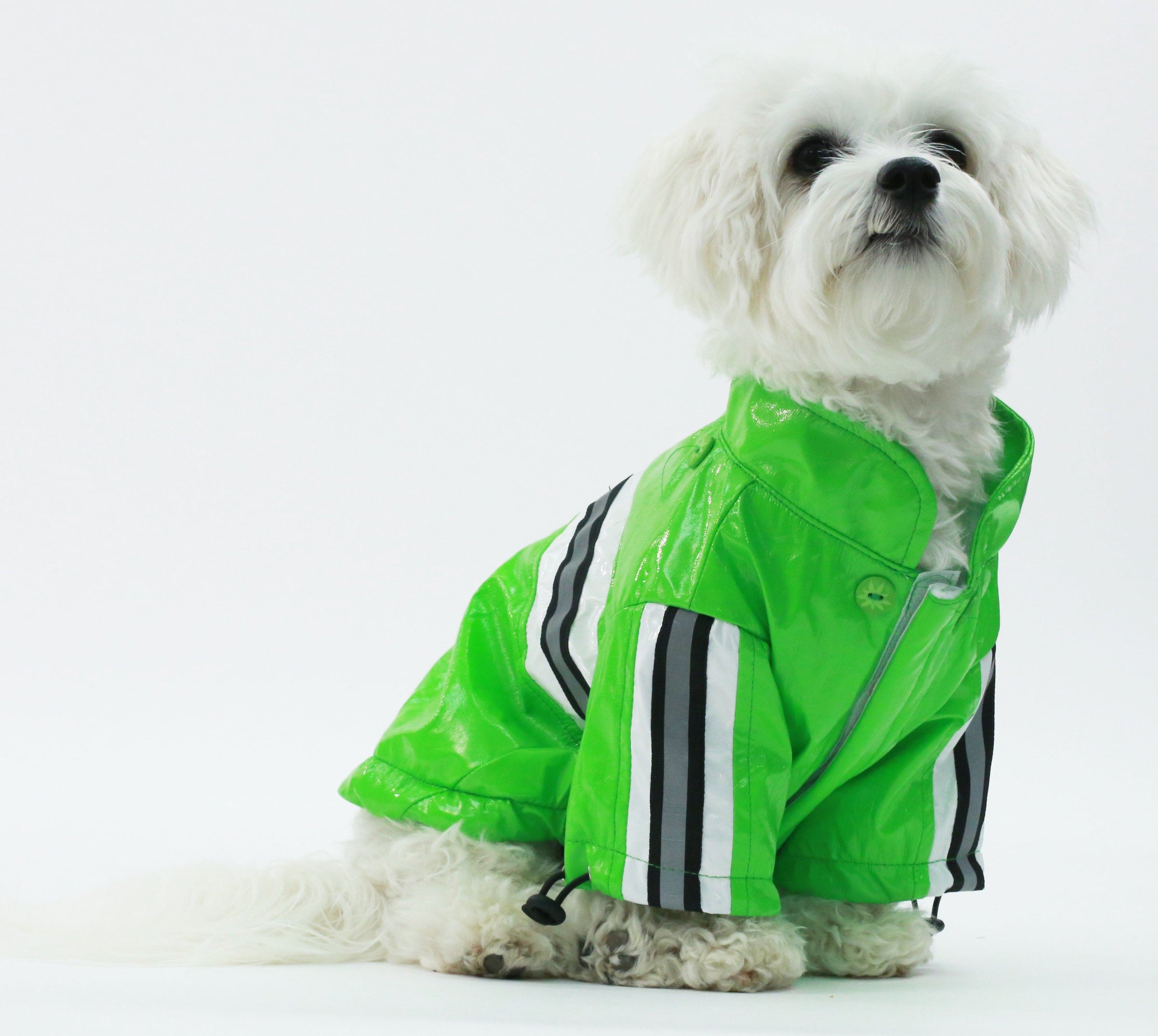Pet Life ® 'Reflecta-Glow' Reflective Waterproof Adjustable Dog Raincoat Jacket w/ Removable Hood - BIG FRENCHIES