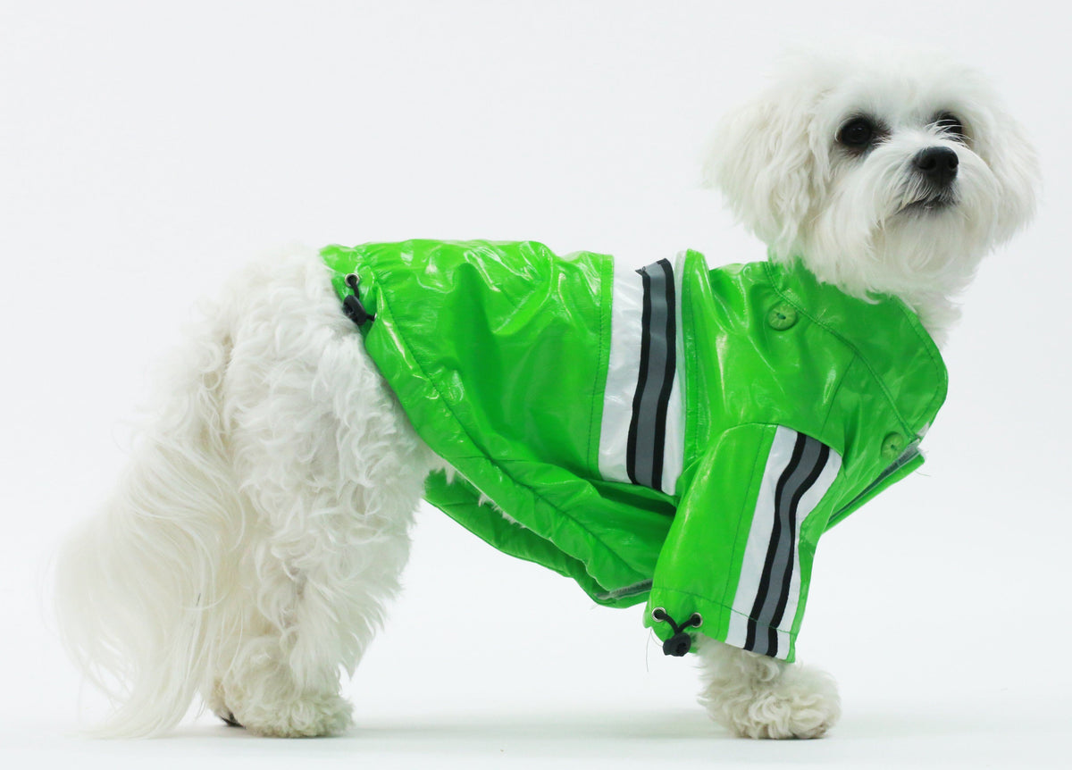 Pet Life ® 'Reflecta-Glow' Reflective Waterproof Adjustable Dog Raincoat Jacket w/ Removable Hood - BIG FRENCHIES