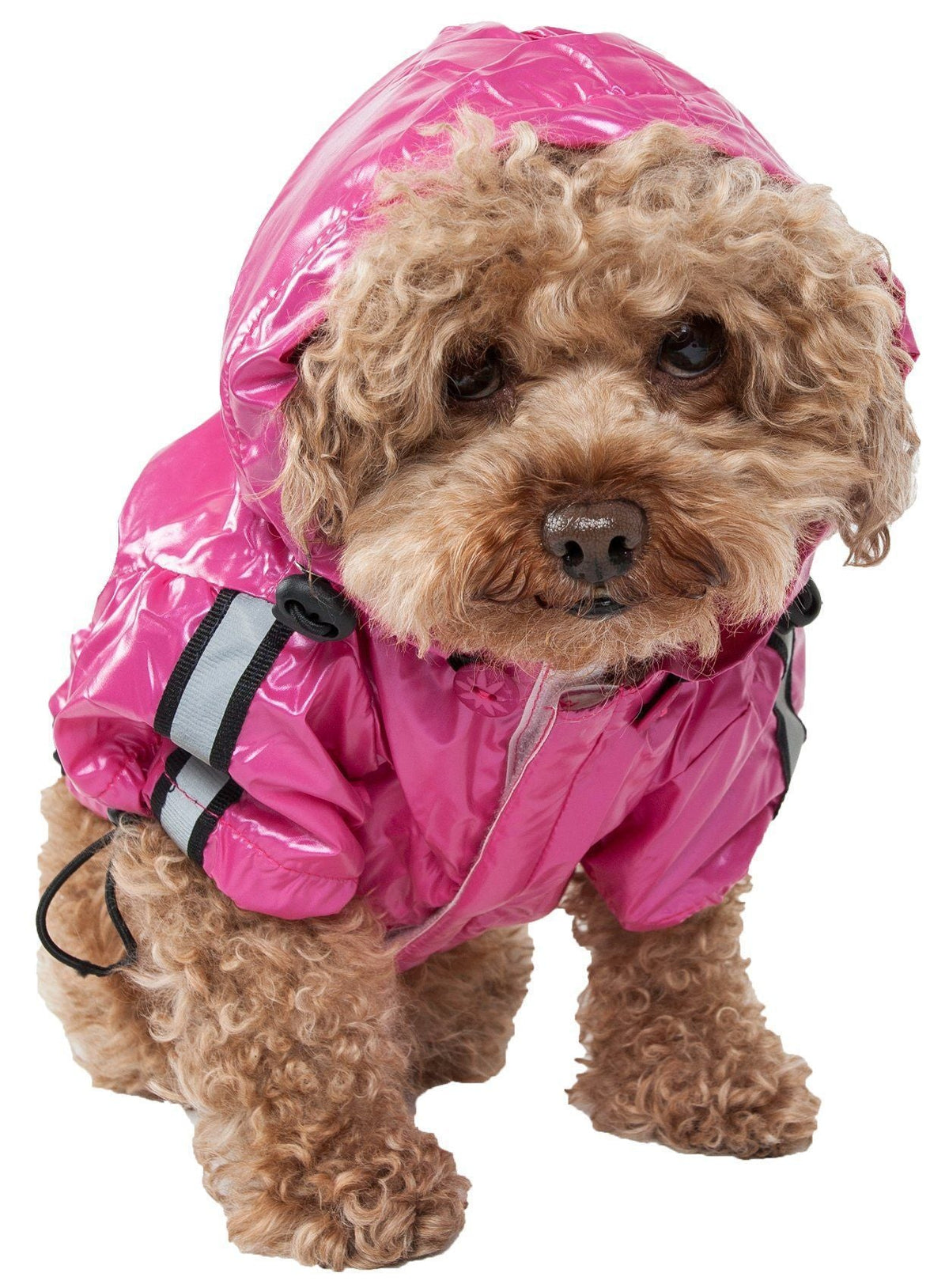 Pet Life ® 'Reflecta-Sport' Multi-Adjustable Reflective Weather-Proof Dog Raincoat w/ Removable Hood - BIG FRENCHIES
