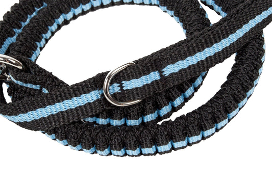 Pet Life ® 'Retract-A-Wag' Shock Absorption Stitched Durable Pet Dog Leash - BIG FRENCHIES