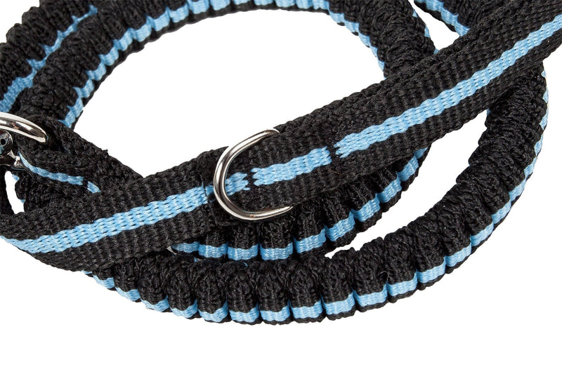 Pet Life ® 'Retract-A-Wag' Shock Absorption Stitched Durable Pet Dog Leash - BIG FRENCHIES
