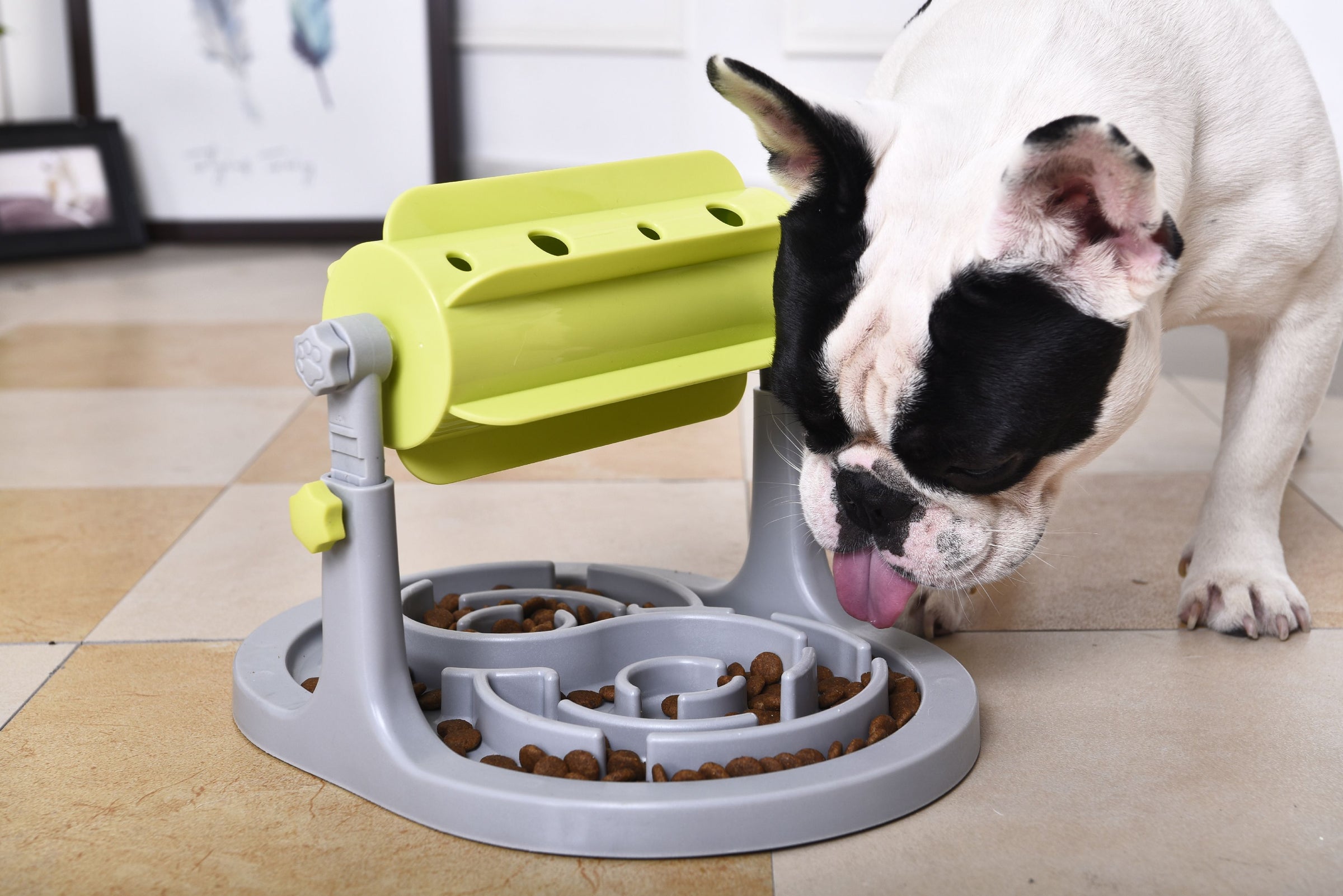 Pet Life ® 'Roto Paw' IQ Training Interactive Rotating Slow Dog Feeder - BIG FRENCHIES