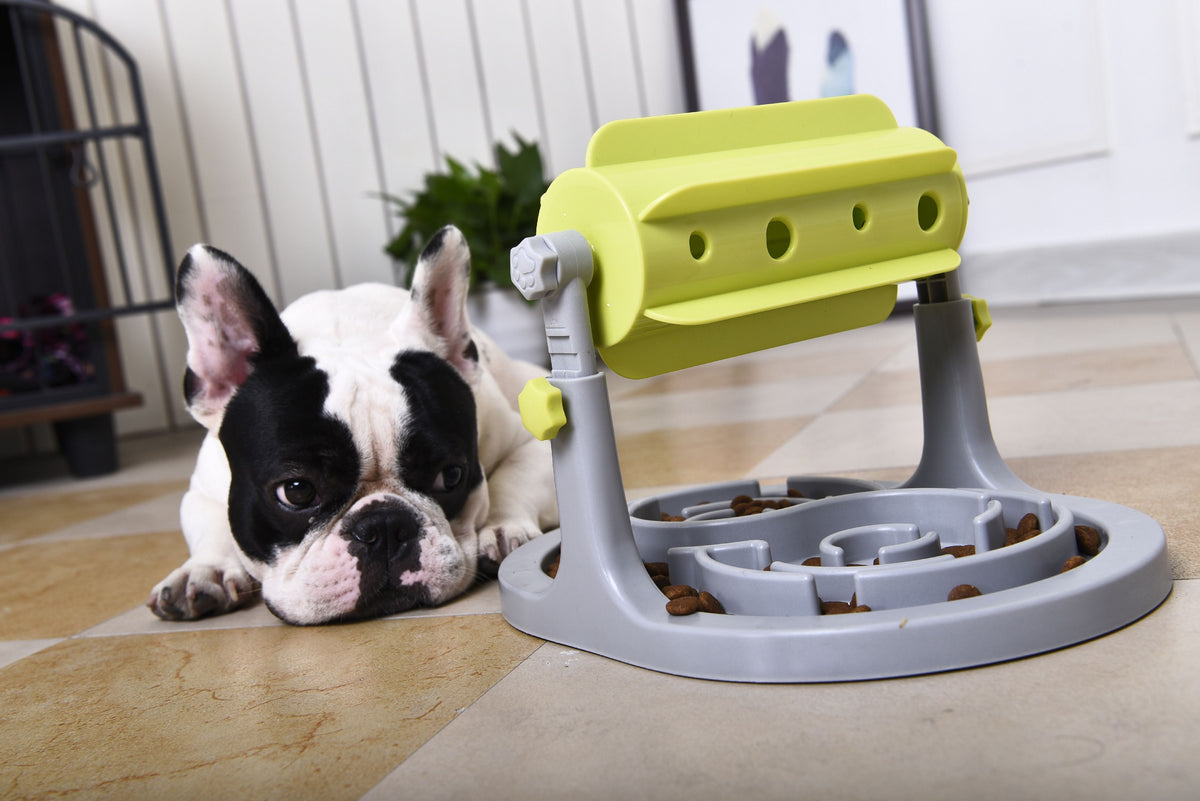 Pet Life ® 'Roto Paw' IQ Training Interactive Rotating Slow Dog Feeder - BIG FRENCHIES