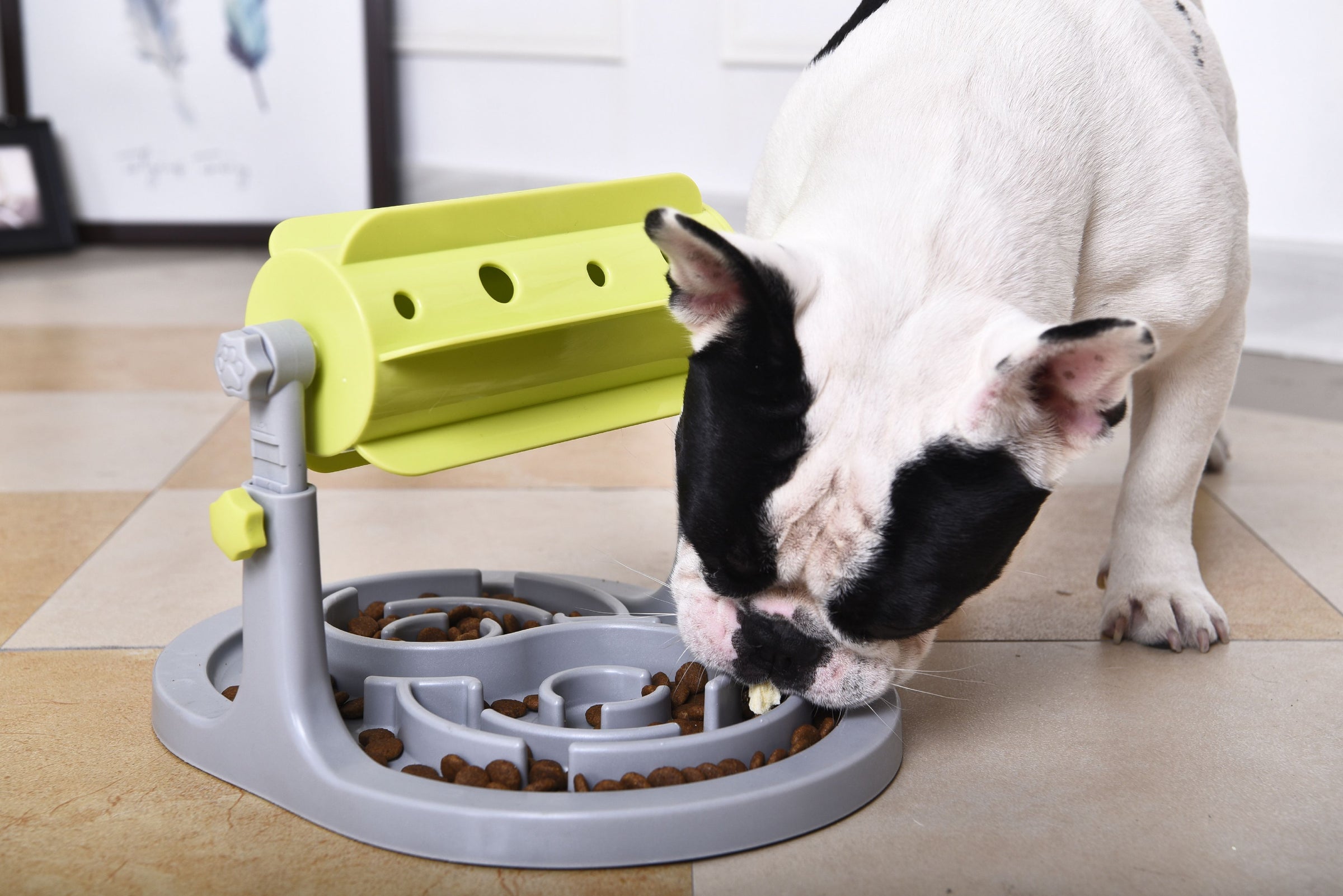 Pet Life ® 'Roto Paw' IQ Training Interactive Rotating Slow Dog Feeder - BIG FRENCHIES