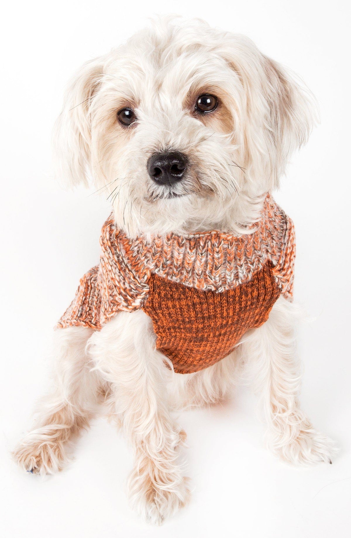 Pet Life ® 'Royal Bark' Heavy Cable Knitted Designer Fashion Dog Sweater - BIG FRENCHIES