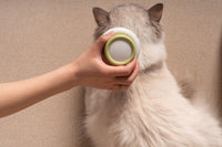 Pet Life ® 'Scwubba' Handheld Bathing Brushing and Massaging Soft Flexible Grooming Pet Comb - BIG FRENCHIES
