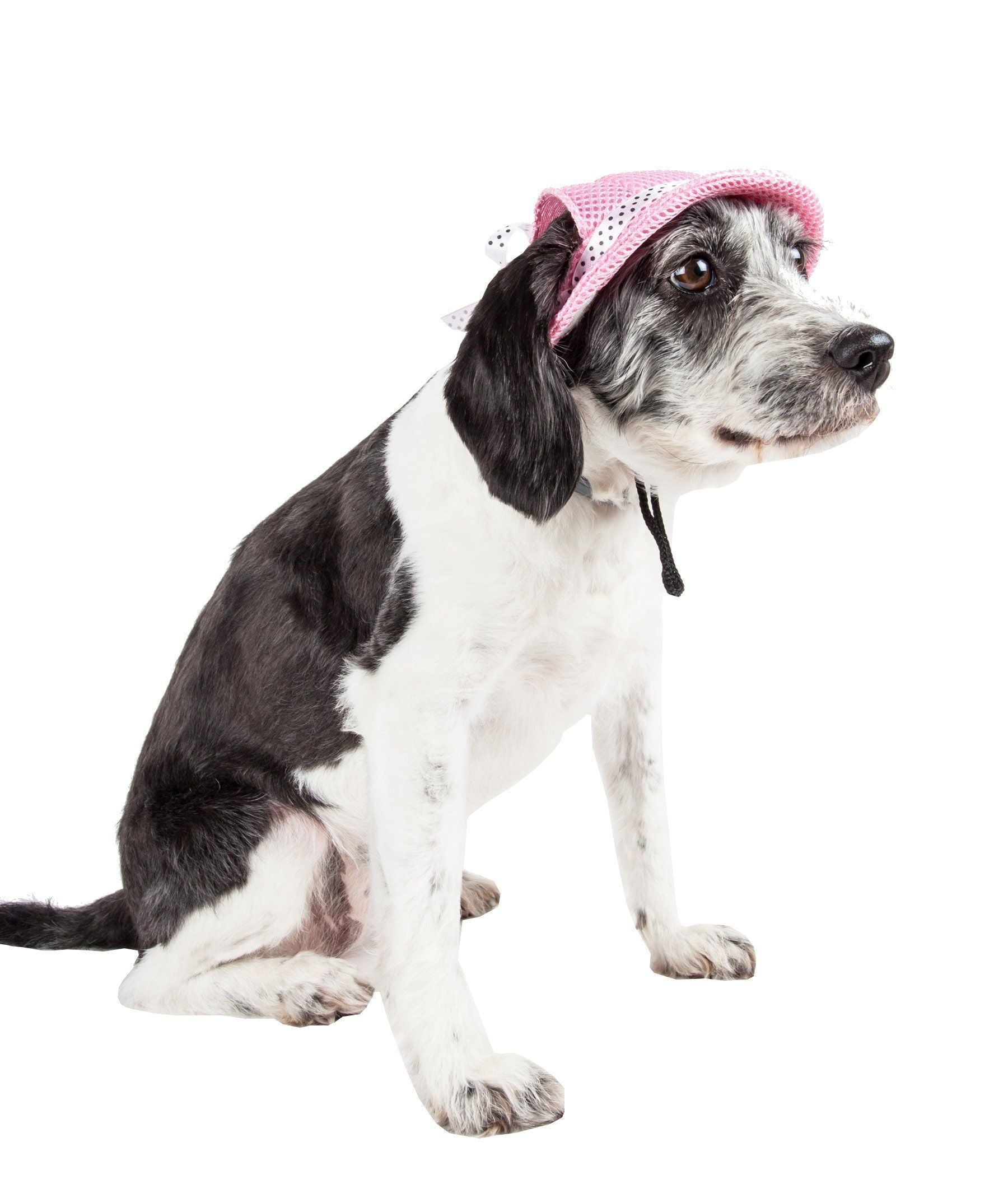 Pet Life ® 'Sea Spot Sun' UV Protectant Adjustable Fashion Mesh Brimmed Dog Hat Cap - BIG FRENCHIES