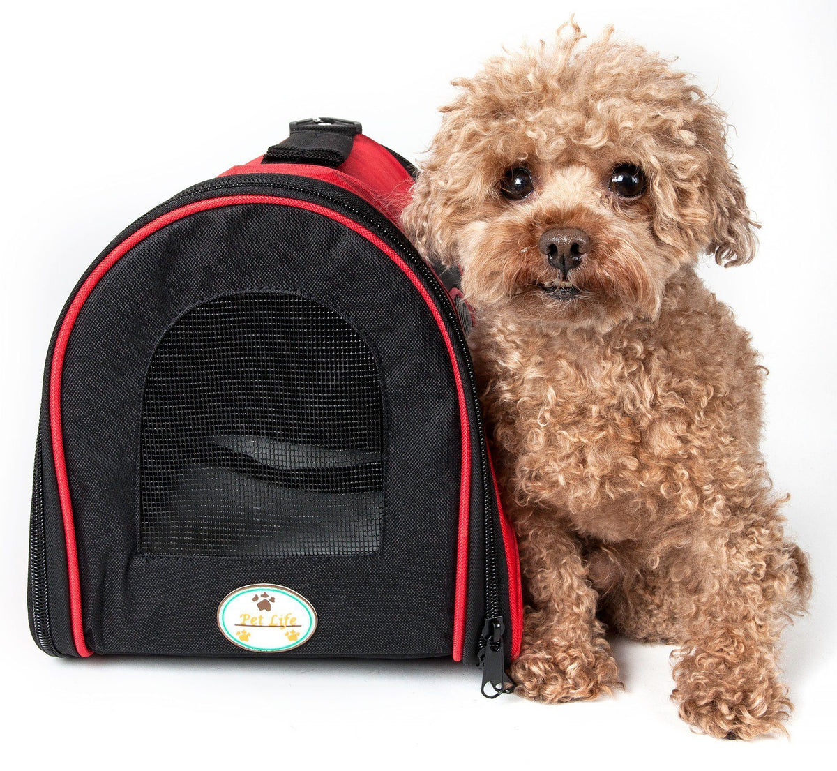 Pet Life ® Sporty Mesh Airline Approved Zippered Folding Collapsible Travel Pet Dog Carrier - BIG FRENCHIES