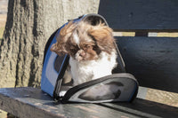 Pet Life ® Sporty Mesh Airline Approved Zippered Folding Collapsible Travel Pet Dog Carrier - BIG FRENCHIES