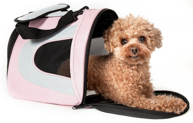 Pet Life ® Sporty Mesh Airline Approved Zippered Folding Collapsible Travel Pet Dog Carrier - BIG FRENCHIES