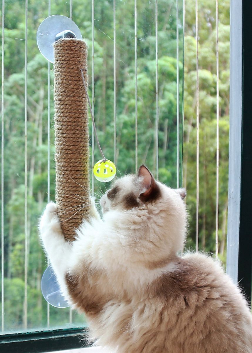 Pet Life ® 'Stick N' Claw' Sisal Rope and Toy Suction Cup Stick Shaped Cat Scratcher - BIG FRENCHIES