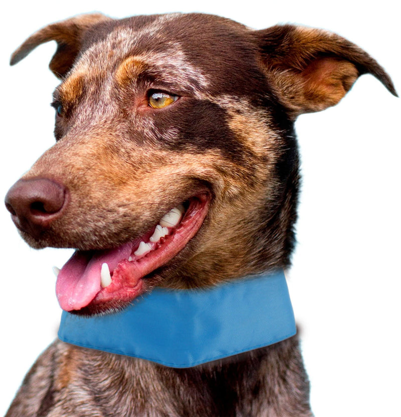 Pet Life ® 'Summer-Cooling' Ice Insertable and Adjustable Cooling Dog Neck Wrap - BIG FRENCHIES