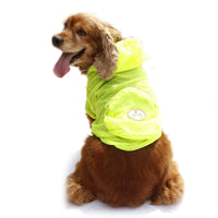 Pet Life ® 'Thunder Paw' Ultimate Waterproof Collapsible Multi-Adjustable Travel Dog Raincoat - BIG FRENCHIES