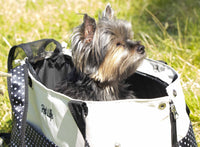 Pet Life ® 'Tote n' Boater' Trendy Spotted Designer Fashion Travel Pet Dog Carrier - BIG FRENCHIES