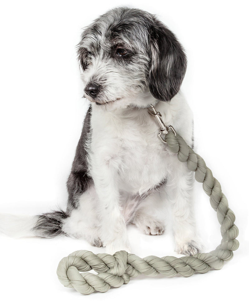 Pet Life ® 'Tough-Tugger' Industrial-Strength Shock Absorption Woven Pet Dog Leash - BIG FRENCHIES