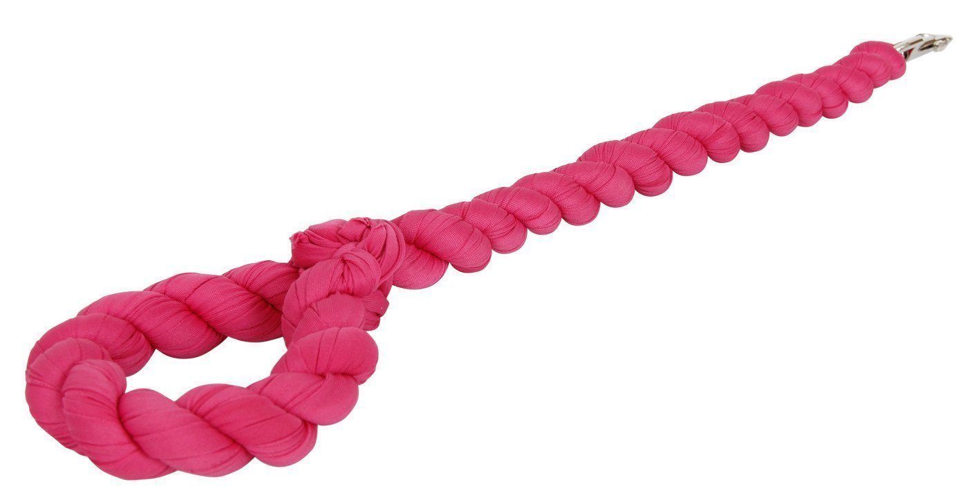 Pet Life ® 'Tough-Tugger' Industrial-Strength Shock Absorption Woven Pet Dog Leash - BIG FRENCHIES