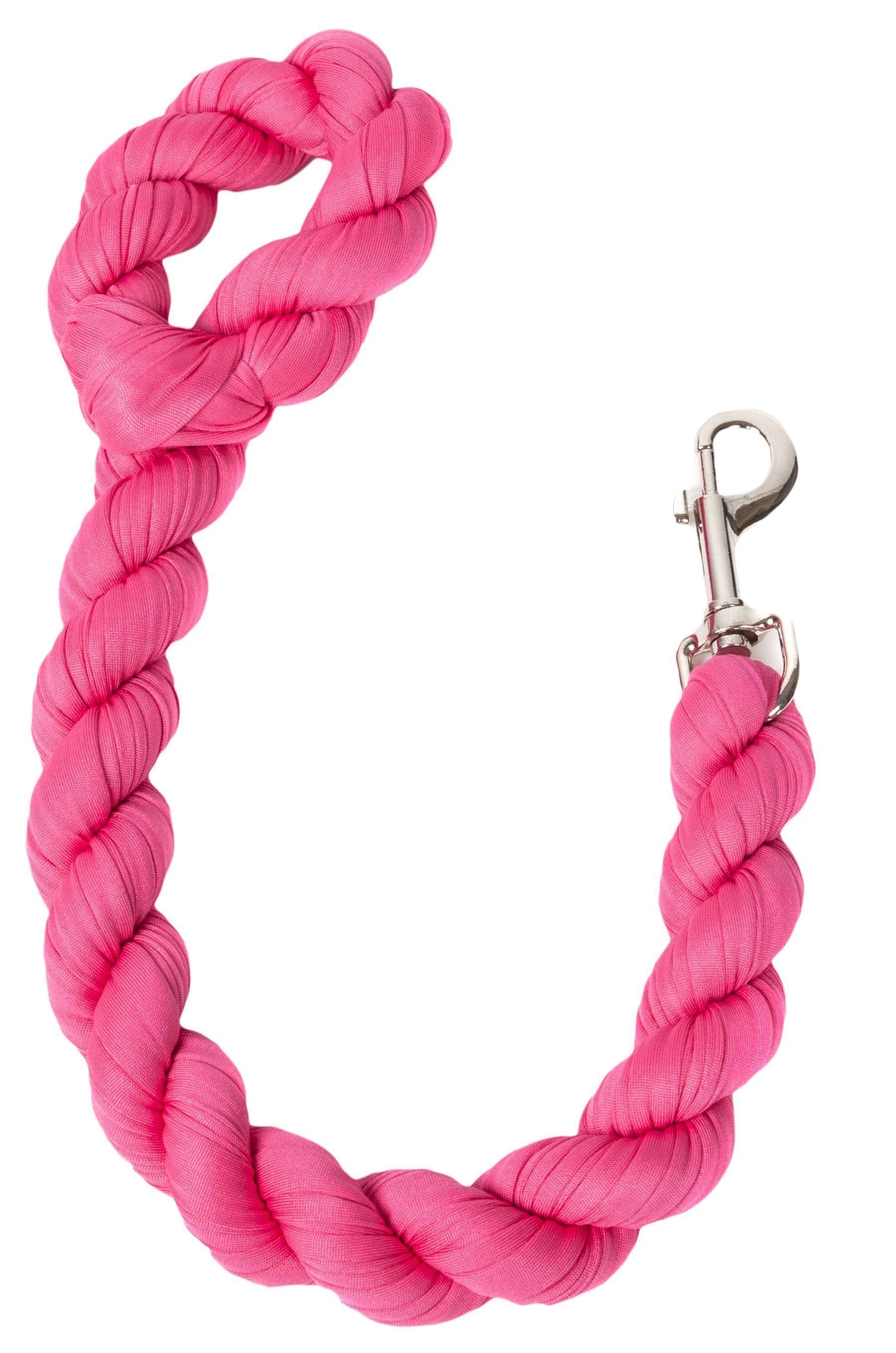 Pet Life ® 'Tough-Tugger' Industrial-Strength Shock Absorption Woven Pet Dog Leash - BIG FRENCHIES