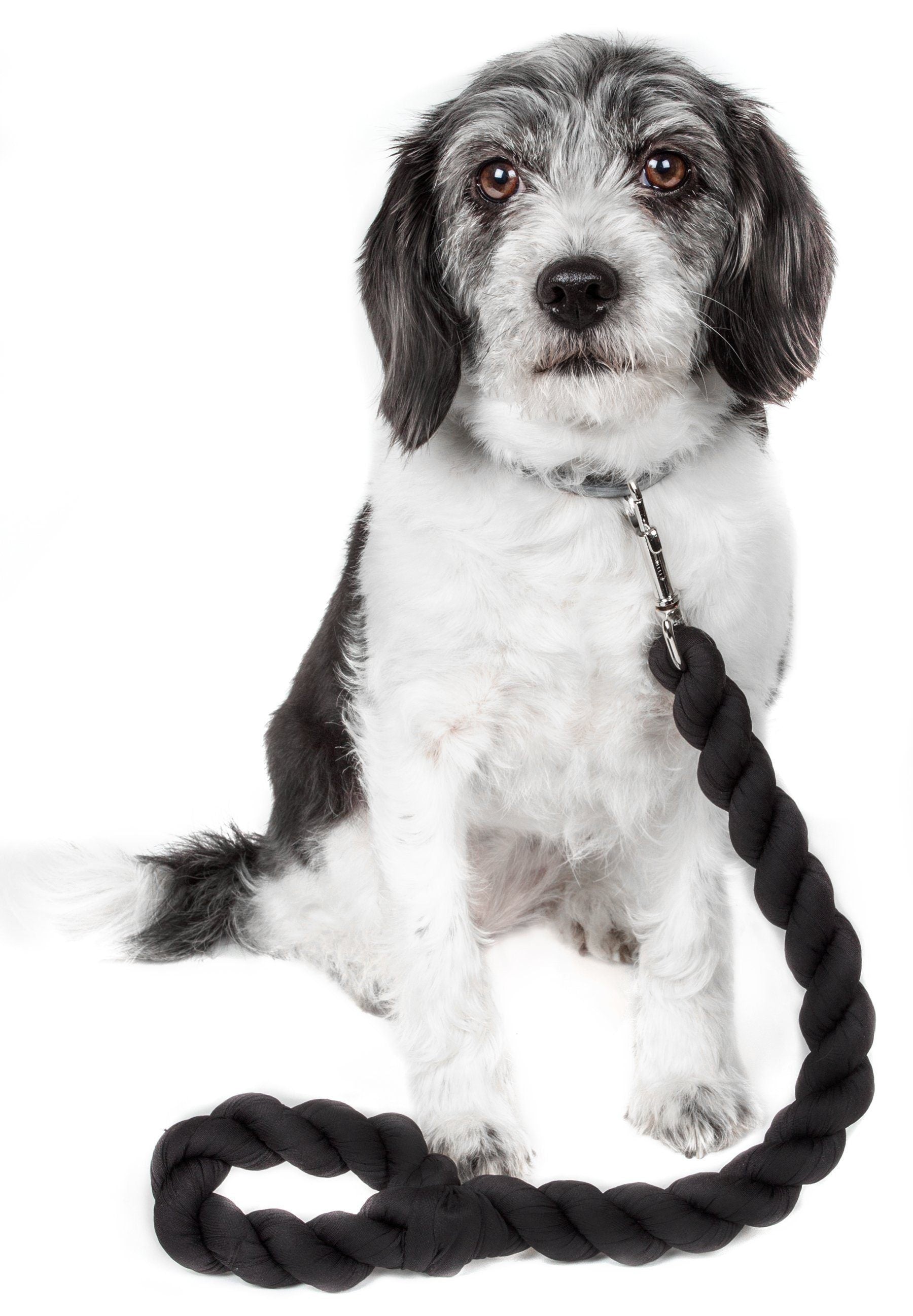 Pet Life ® 'Tough-Tugger' Industrial-Strength Shock Absorption Woven Pet Dog Leash - BIG FRENCHIES