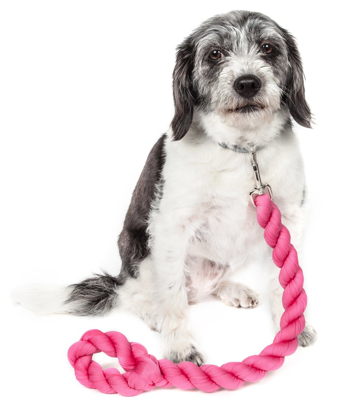 Pet Life ® 'Tough-Tugger' Industrial-Strength Shock Absorption Woven Pet Dog Leash - BIG FRENCHIES