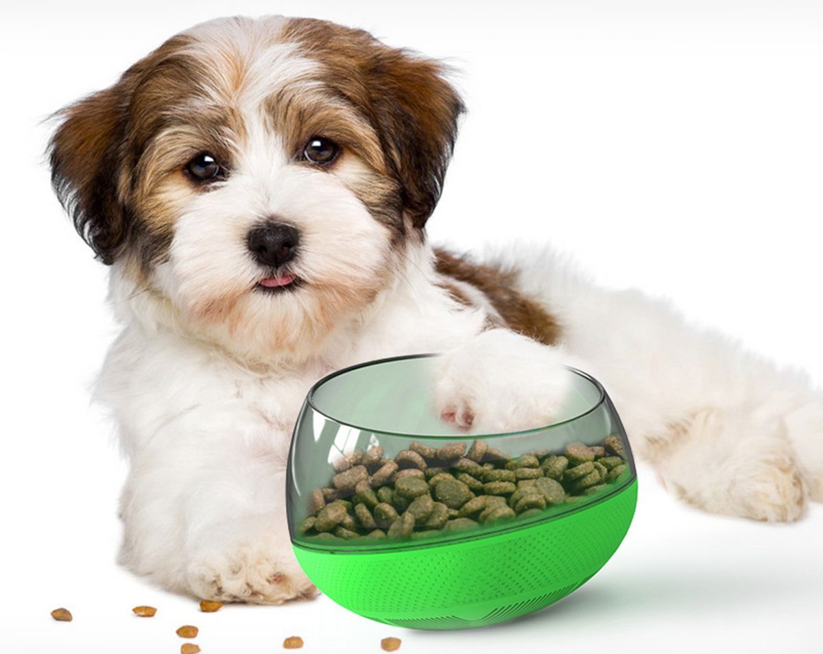 Pet Life ® 'Tumbowl' Slow Feeding Pet Bowl - BIG FRENCHIES