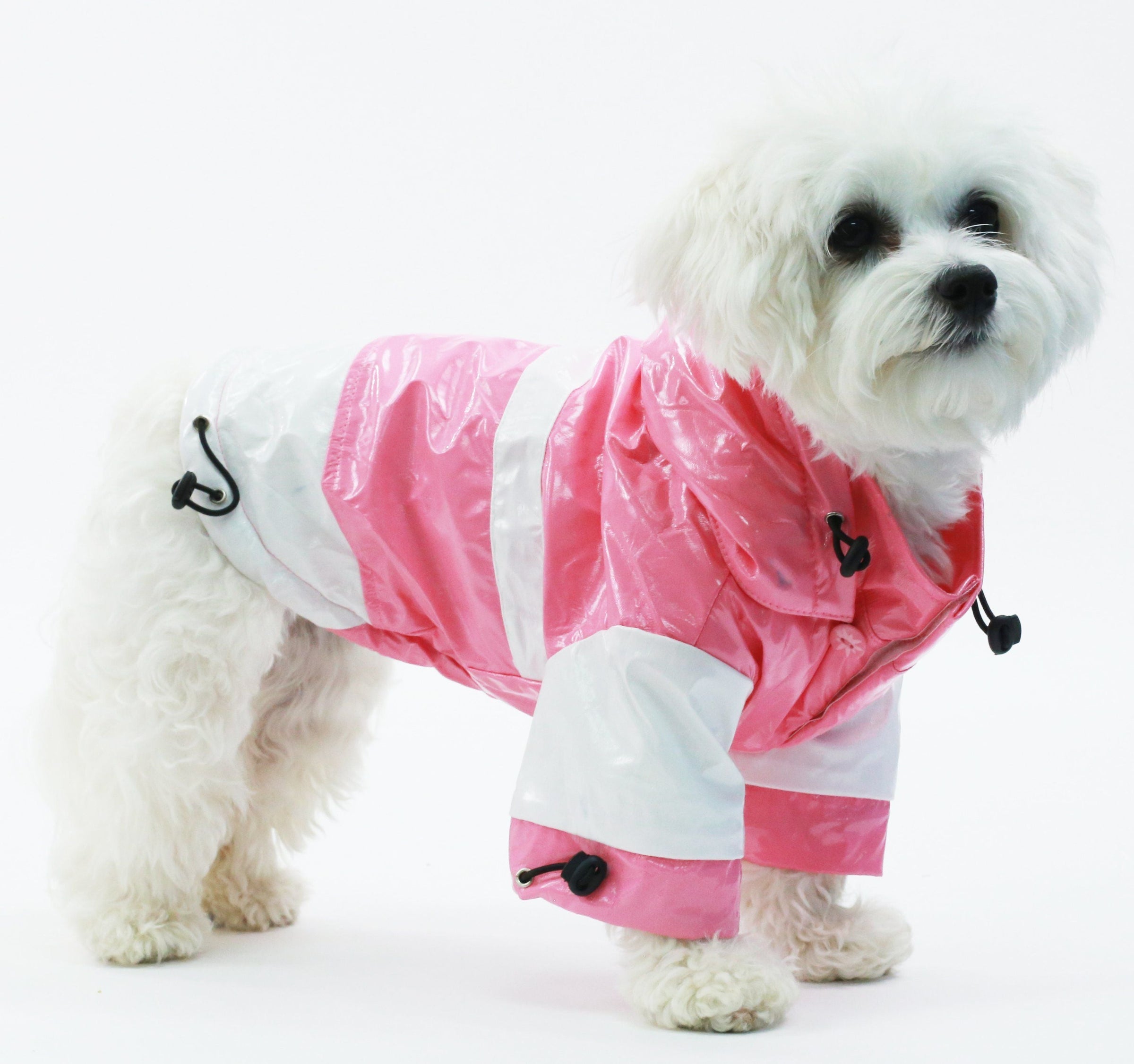 Pet Life ® 'Two-Tone' Waterproof Adjustable Dog Raincoat Jacket w/ Removable Hood - BIG FRENCHIES