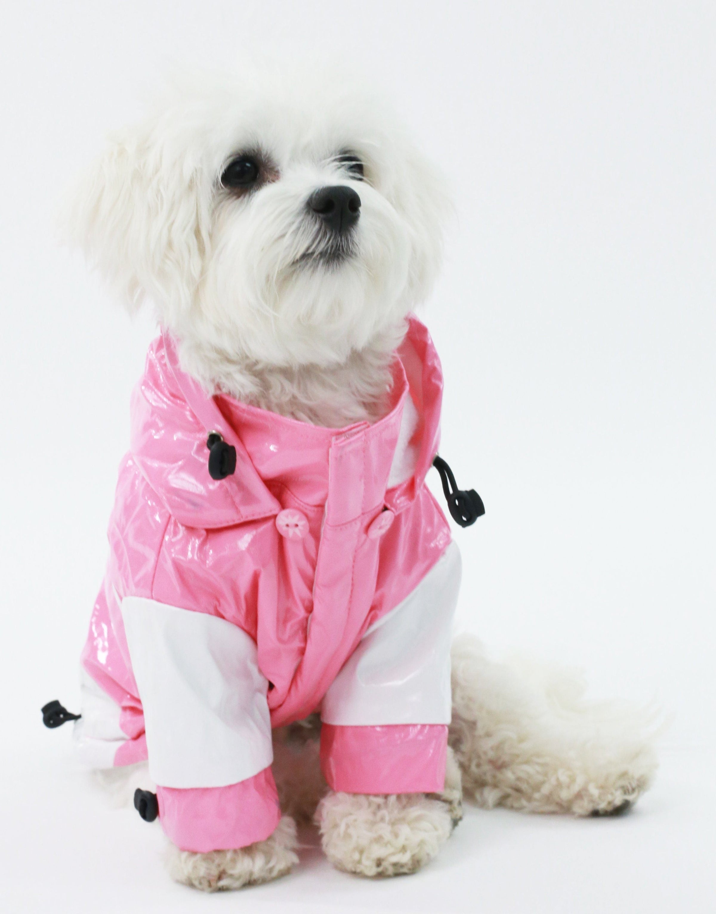 Pet Life ® 'Two-Tone' Waterproof Adjustable Dog Raincoat Jacket w/ Removable Hood - BIG FRENCHIES