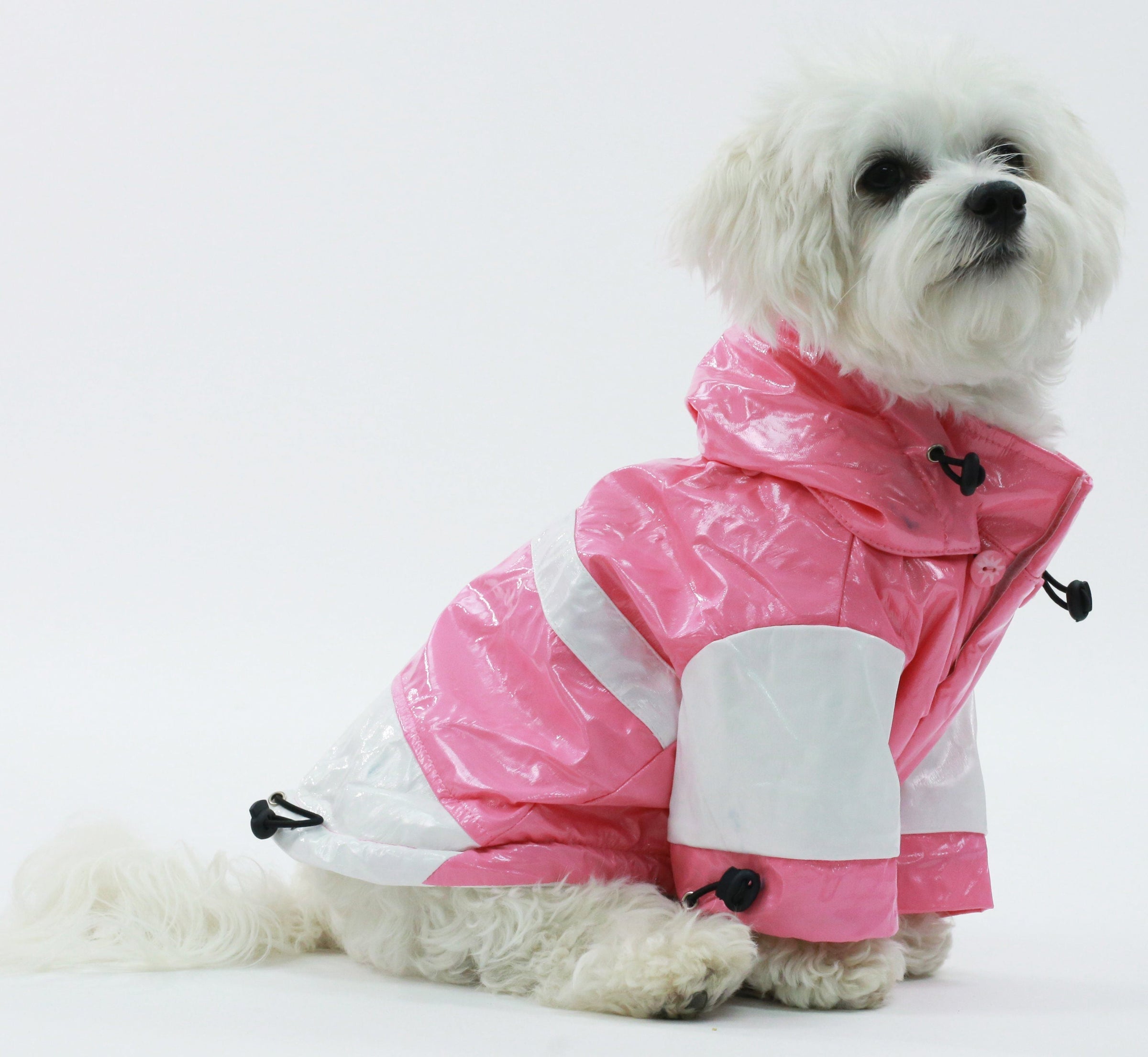Pet Life ® 'Two-Tone' Waterproof Adjustable Dog Raincoat Jacket w/ Removable Hood - BIG FRENCHIES