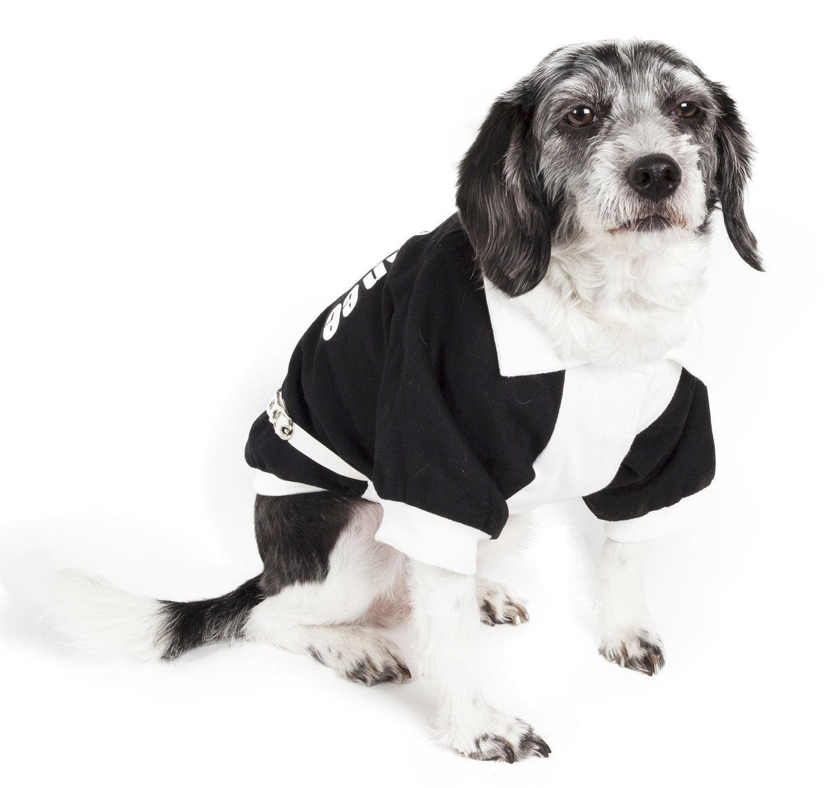 Pet Life ® 'Varsity-Barkcity' Buckled Collared Dog Coat Jacket - BIG FRENCHIES