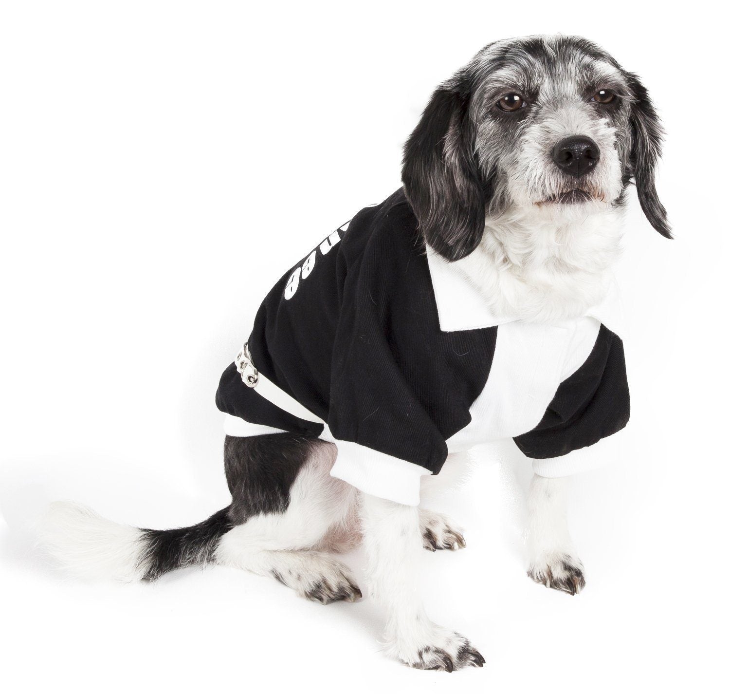 Pet Life ® 'Varsity-Barkcity' Buckled Collared Dog Coat Jacket - BIG FRENCHIES