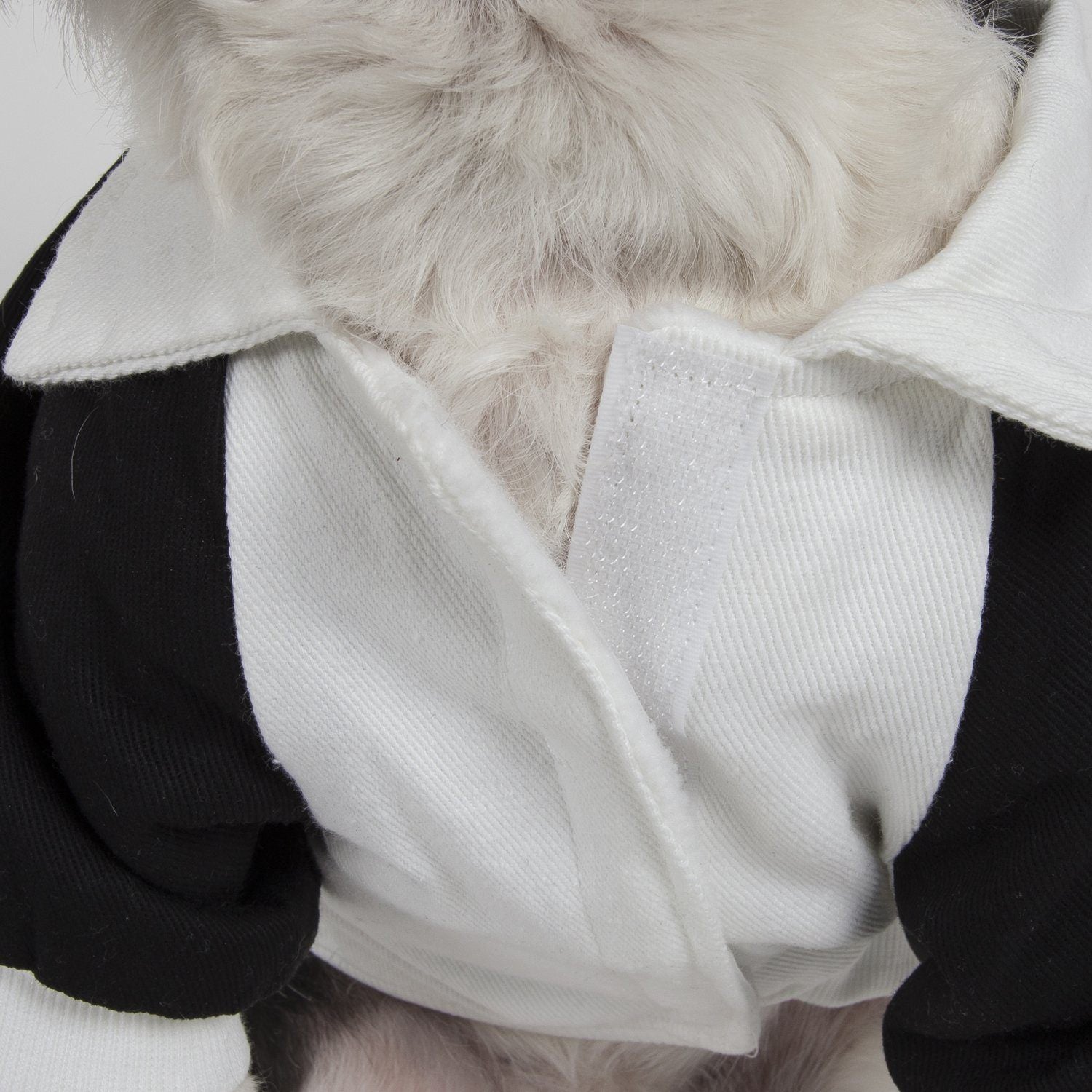Pet Life ® 'Varsity-Barkcity' Buckled Collared Dog Coat Jacket - BIG FRENCHIES