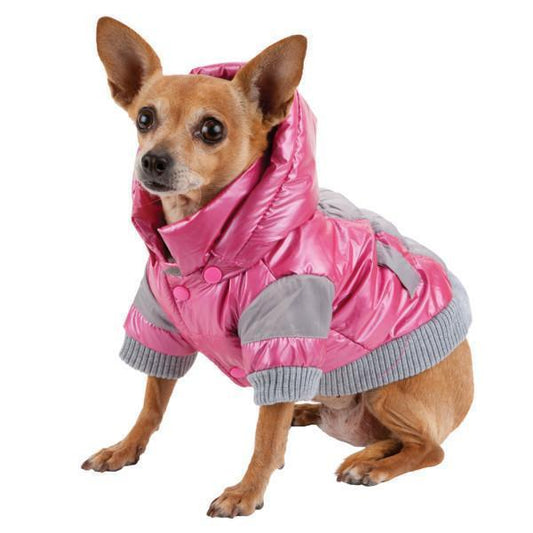 Pet Life ® 'Vintage Aspen' 3M Insulated Sporty Ski Dog Jacket w/ Removable Hood - BIG FRENCHIES