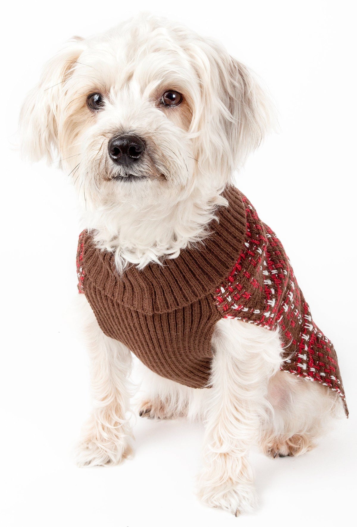 Pet Life ® Vintage Symphony Static Fashion Knitted Designer Dog Sweater - BIG FRENCHIES