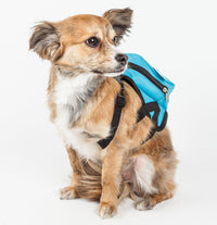 Pet Life ® 'Waggler Hobbler' Large-Pocketed Animated Fashion Dog Harness Backpack - BIG FRENCHIES
