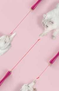 Pet Life ® 'Wander-cat' Customizeable and Extendable 10-in-1 Attachment Laser Cat Teaser - BIG FRENCHIES