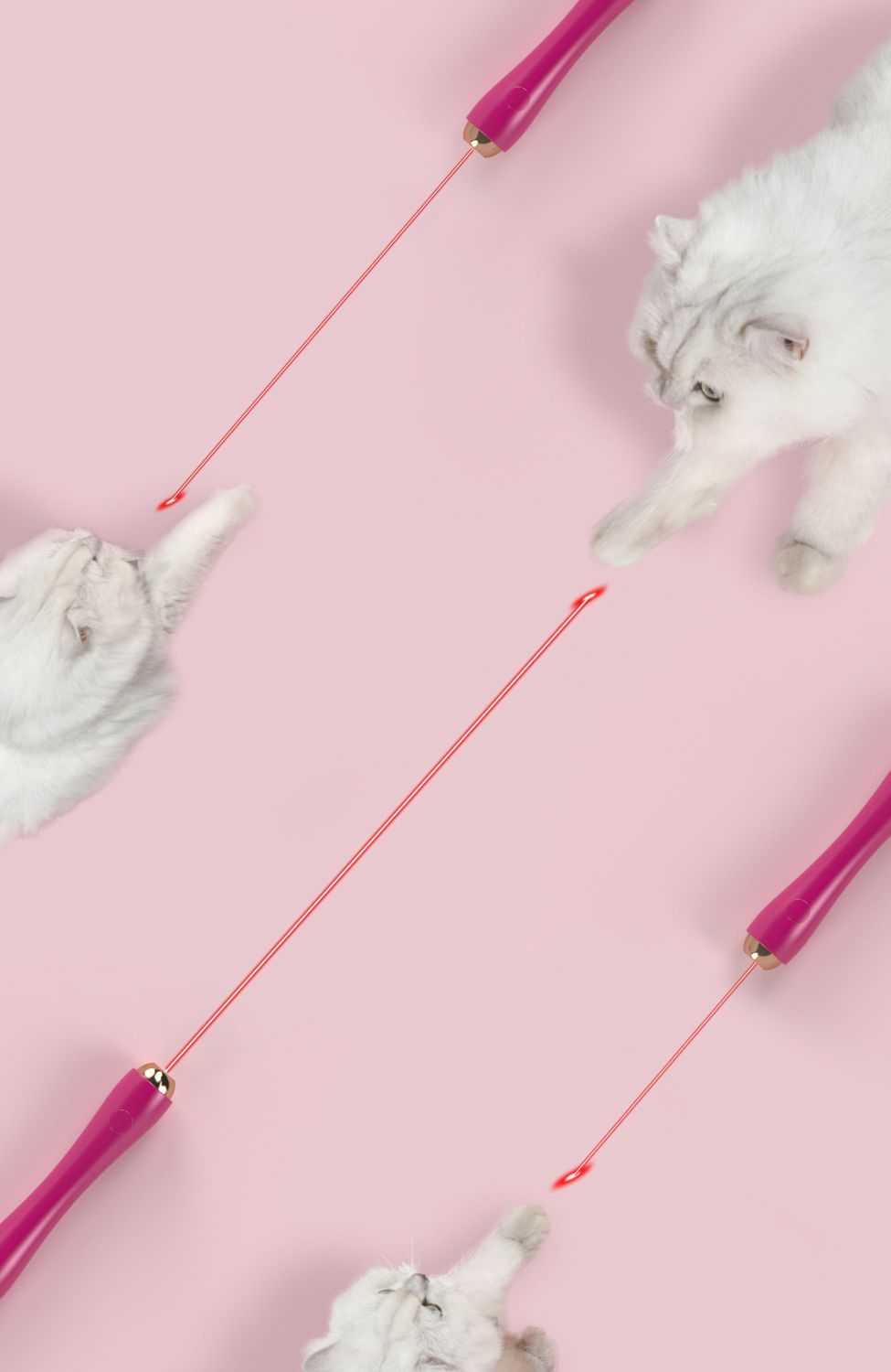Pet Life ® 'Wander-cat' Customizeable and Extendable 10-in-1 Attachment Laser Cat Teaser - BIG FRENCHIES