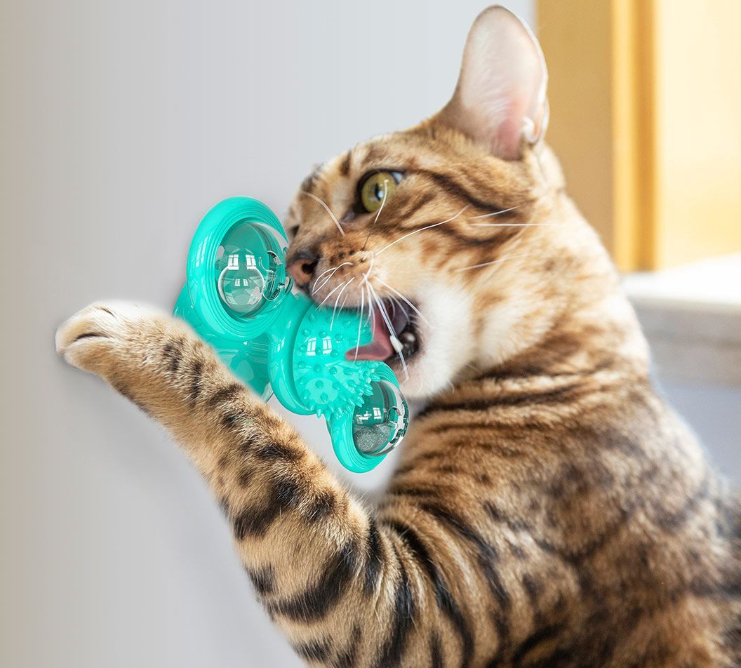 Pet Life ® 'Windmill' Rotating Suction Cup Spinning Cat Toy - BIG FRENCHIES