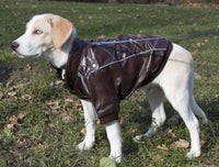 Pet Life ® 'Wuff-Rider' Fashion Suede Stitched Dog Jacket - BIG FRENCHIES