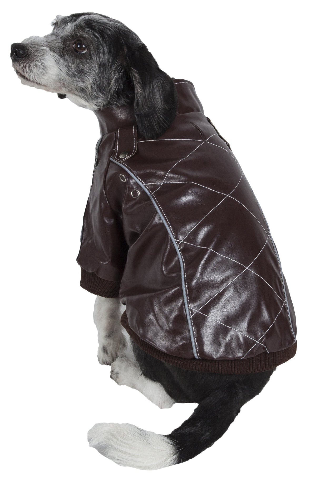 Pet Life ® 'Wuff-Rider' Fashion Suede Stitched Dog Jacket - BIG FRENCHIES