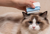 Pet Life ® 'Zipocket' 2-in-1 Underake and Stainless Steel Travel Grooming Pet Comb - BIG FRENCHIES