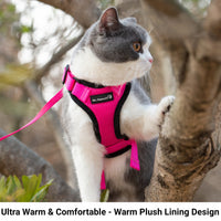 Mr. Peanut's PurrTrek Reflective Cat Harness with Matching Leash - BIG FRENCHIES