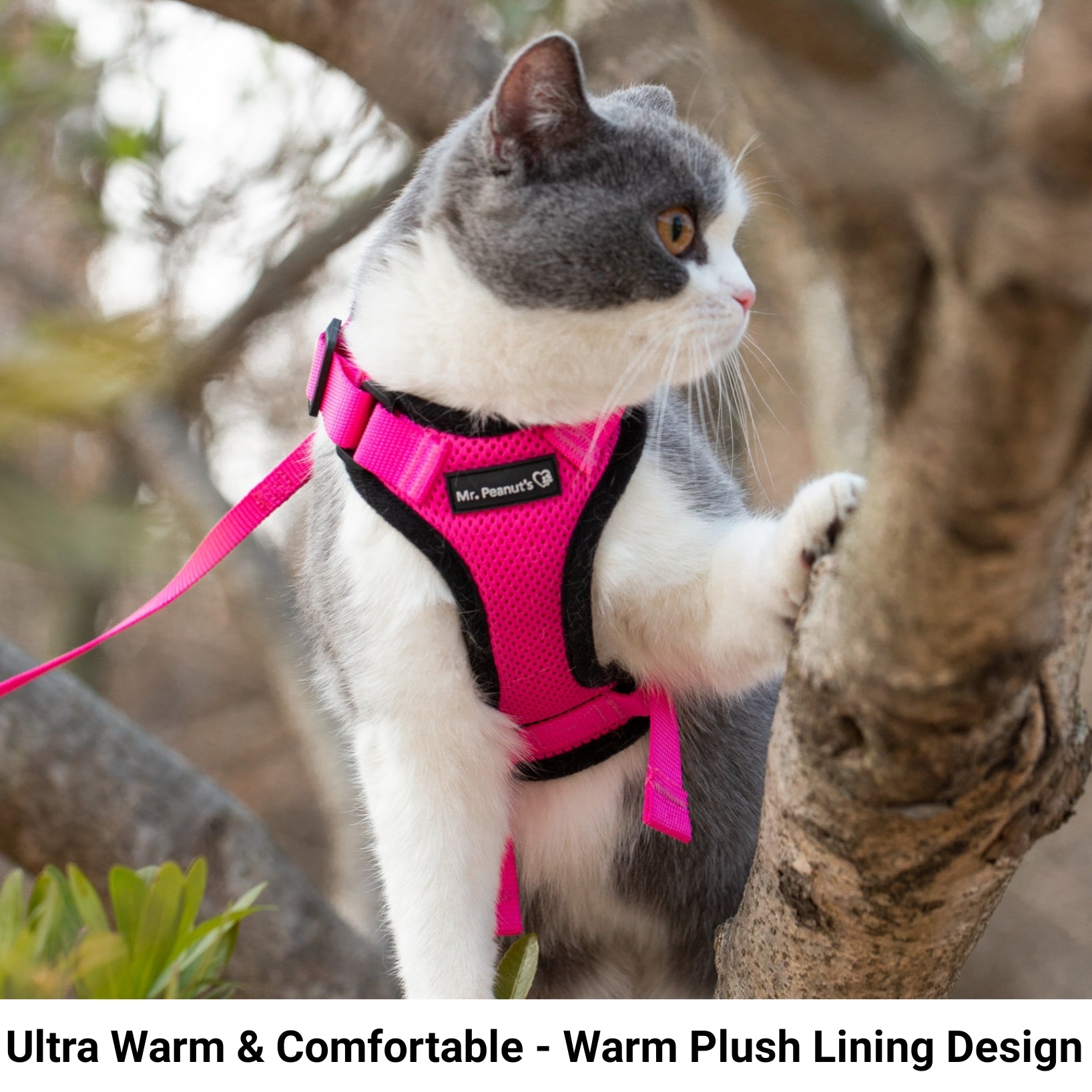 Mr. Peanut's PurrTrek Reflective Cat Harness with Matching Leash - BIG FRENCHIES