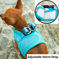 Mr. Peanut's PupTrek Soft Mesh Pet Harness with Matching Leash – Adjustable, Breathable, Choke-Free - BIG FRENCHIES