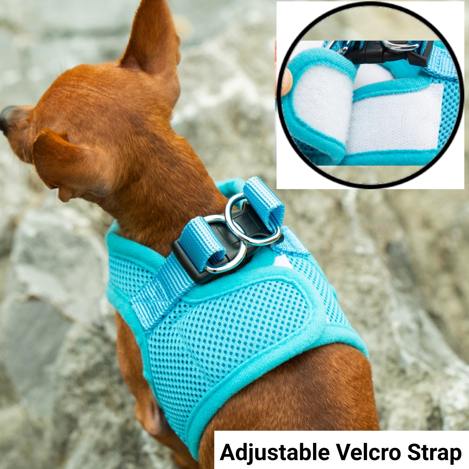 Mr. Peanut's PupTrek Soft Mesh Pet Harness with Matching Leash – Adjustable, Breathable, Choke-Free - BIG FRENCHIES