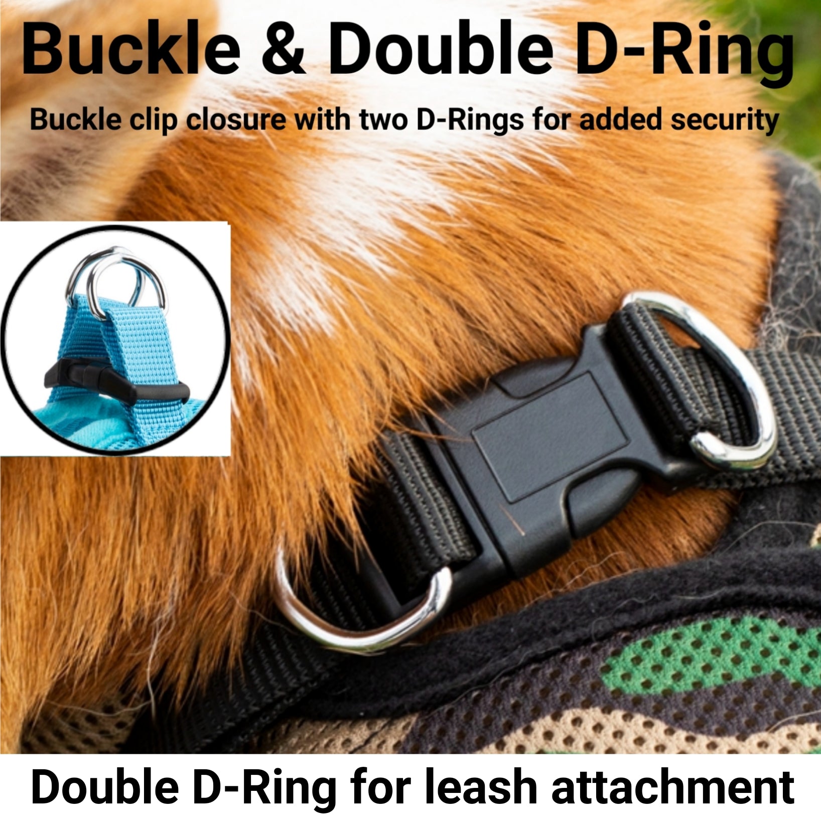 Mr. Peanut's PupTrek Soft Mesh Pet Harness with Matching Leash – Adjustable, Breathable, Choke-Free - BIG FRENCHIES