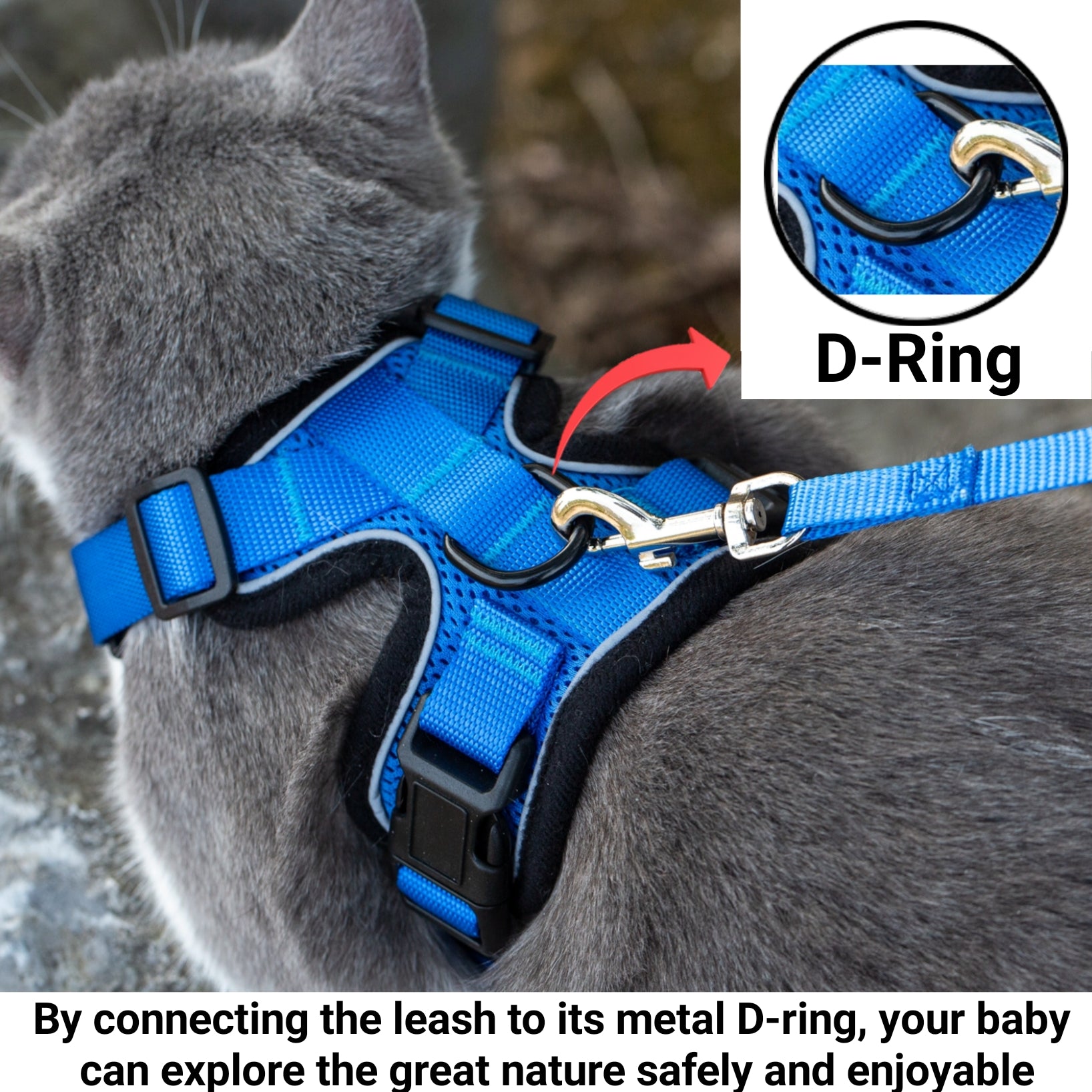 Mr. Peanut's PurrTrek Reflective Cat Harness with Matching Leash - BIG FRENCHIES