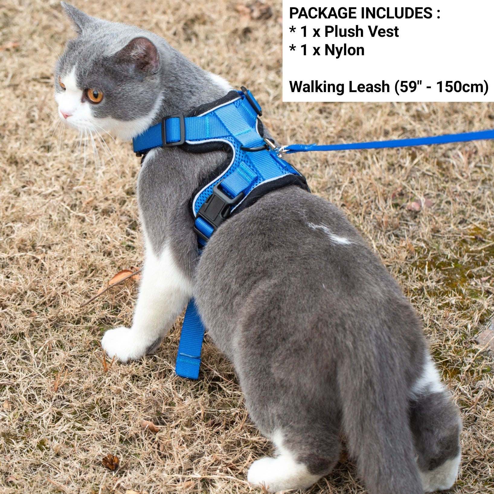 Mr. Peanut's PurrTrek Reflective Cat Harness with Matching Leash - BIG FRENCHIES