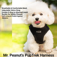 Mr. Peanut's PupTrek Soft Mesh Pet Harness with Matching Leash – Adjustable, Breathable, Choke-Free - BIG FRENCHIES